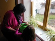 Zaléváme květiny ve školce